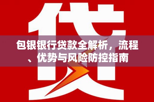 田林包银银行贷款全解析，流程、优势与风险防控指南