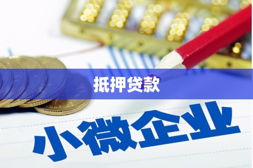 田林抵押贷款