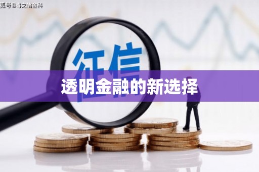 田林透明金融的新选择