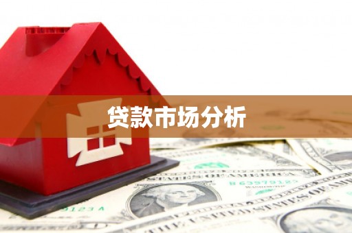 田林贷款市场分析