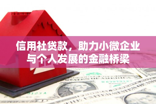 田林信用社贷款，助力小微企业与个人发展的金融桥梁