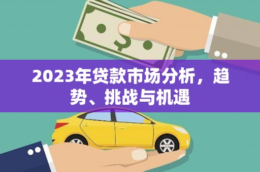 田林2023年贷款市场分析，趋势、挑战与机遇
