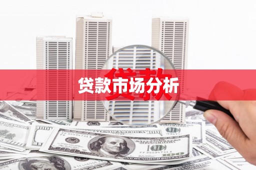田林贷款市场分析
