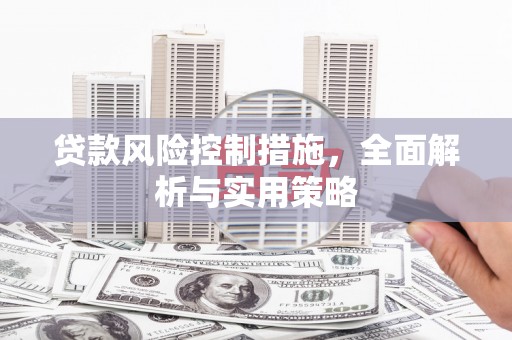 田林贷款风险控制措施，全面解析与实用策略