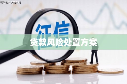 田林贷款风险处置方案