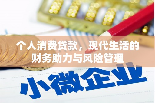 田林个人消费贷款,现代生活的财务助力与风险管理 田林个人消费贷款,现代生活的财务助力与风险管理