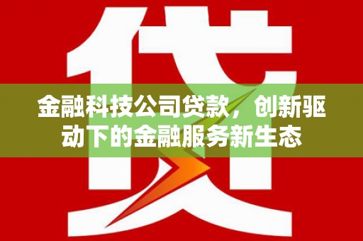 田林金融科技公司贷款，创新驱动下的金融服务新生态