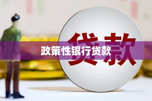 田林政策性银行贷款
