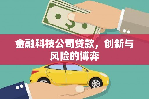 田林金融科技公司贷款，创新与风险的博弈