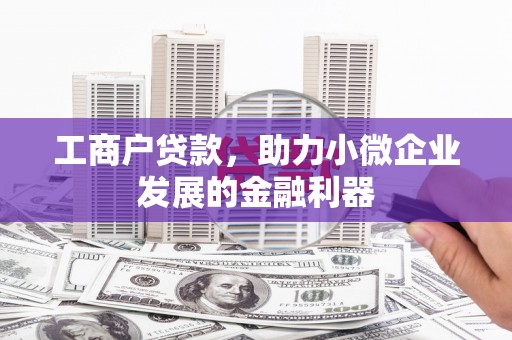 田林工商户贷款，助力小微企业发展的金融利器