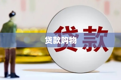田林贷款购物