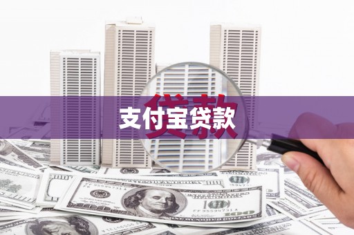 田林支付宝贷款