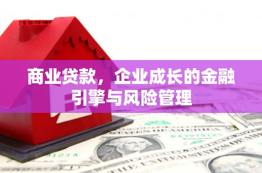 田林商业贷款，企业成长的金融引擎与风险管理