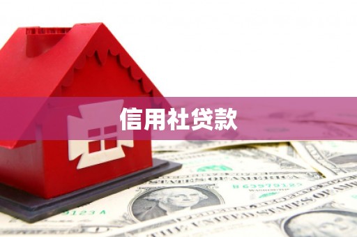 田林信用社贷款