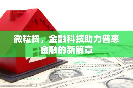 田林微粒贷，金融科技助力普惠金融的新篇章