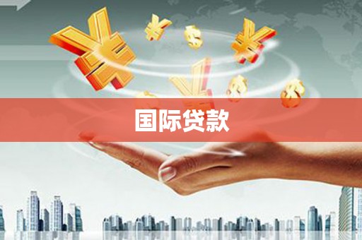 田林国际贷款
