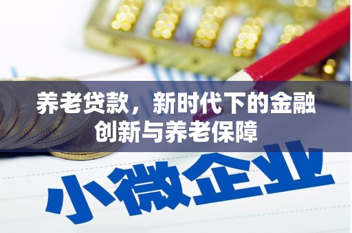 田林养老贷款，新时代下的金融创新与养老保障