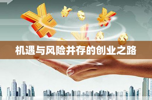 田林机遇与风险并存的创业之路