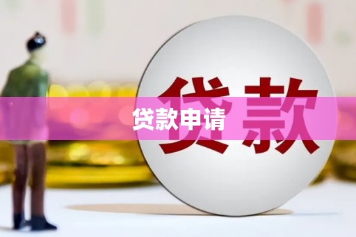 田林贷款申请