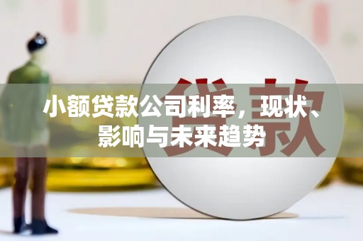 田林小额贷款公司利率，现状、影响与未来趋势