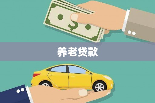田林养老贷款
