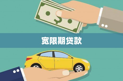 田林宽限期贷款