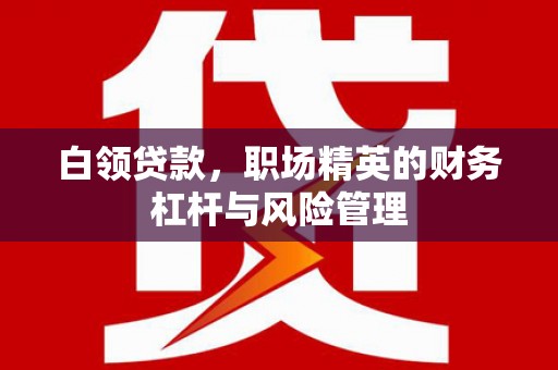 田林白领贷款，职场精英的财务杠杆与风险管理