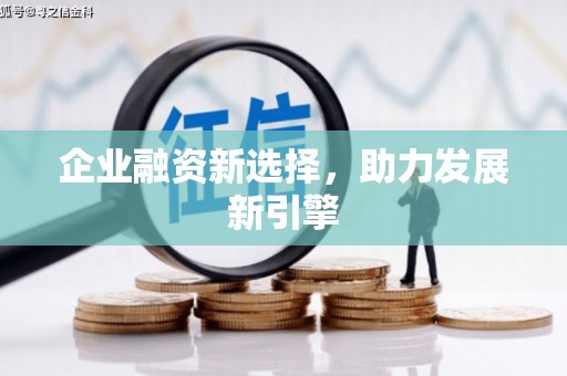 田林企业融资新选择，助力发展新引擎