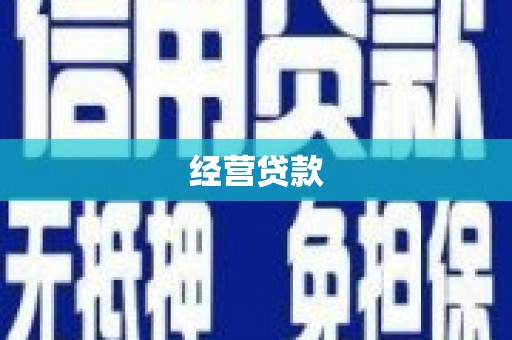 田林经营贷款