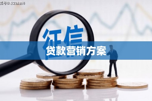 田林贷款营销方案