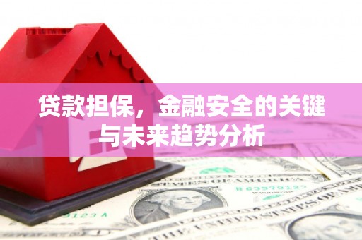 田林贷款担保，金融安全的关键与未来趋势分析