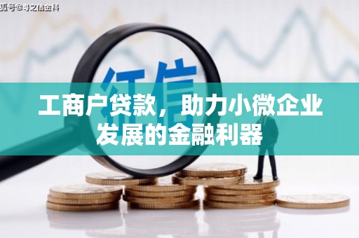 田林工商户贷款，助力小微企业发展的金融利器