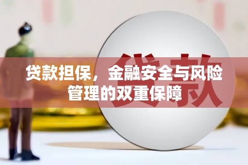 田林贷款担保，金融安全与风险管理的双重保障