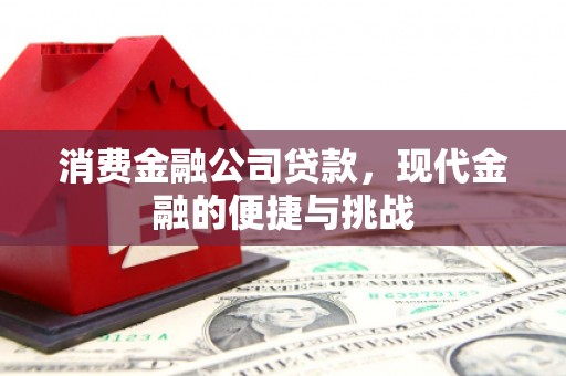 田林消费金融公司贷款，现代金融的便捷与挑战