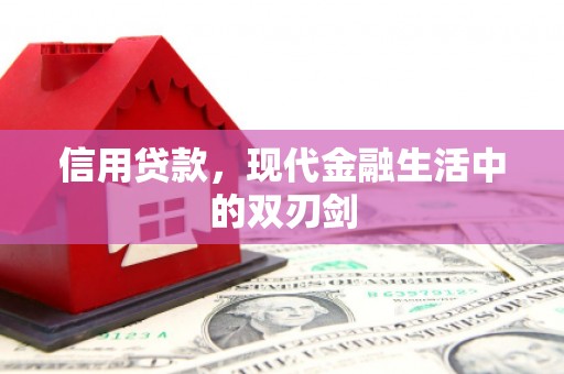 田林信用贷款，现代金融生活中的双刃剑