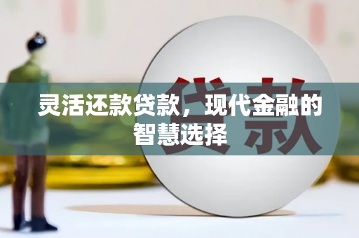 田林灵活还款贷款，现代金融的智慧选择