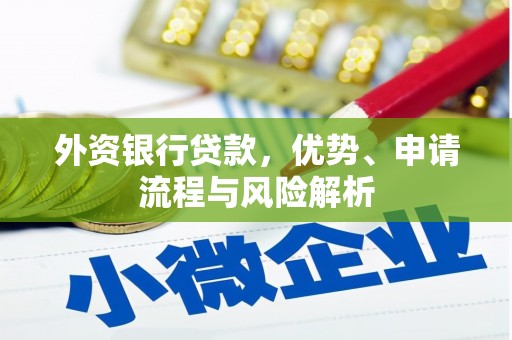 田林外资银行贷款，优势、申请流程与风险解析