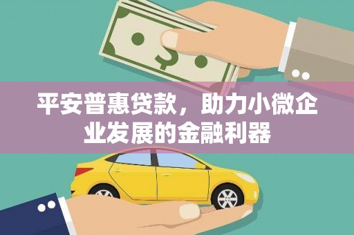 田林平安普惠贷款，助力小微企业发展的金融利器