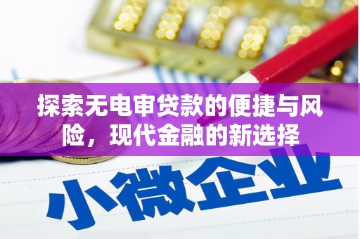 田林探索无电审贷款的便捷与风险，现代金融的新选择