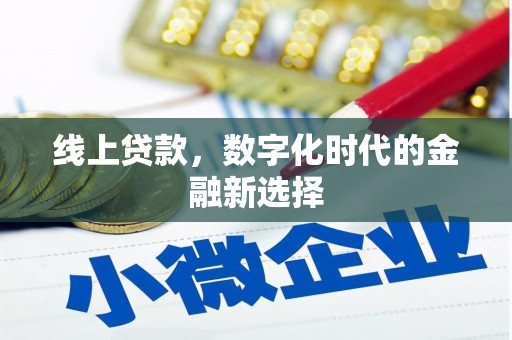 田林线上贷款，数字化时代的金融新选择