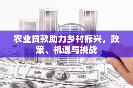 田林农业贷款助力乡村振兴，政策、机遇与挑战