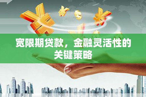 田林宽限期贷款，金融灵活性的关键策略