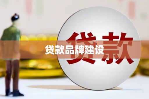 田林贷款品牌建设