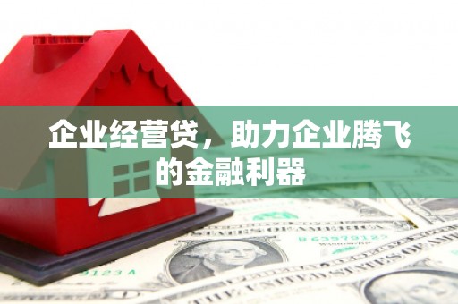 田林企业经营贷，助力企业腾飞的金融利器