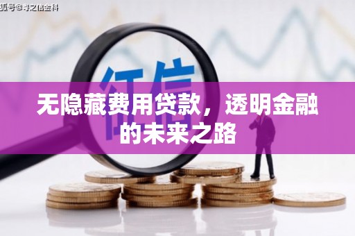 田林无隐藏费用贷款，透明金融的未来之路