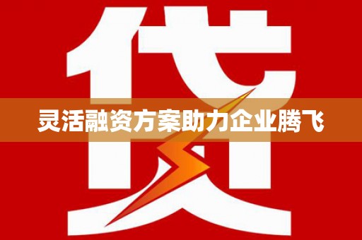 田林灵活融资方案助力企业腾飞