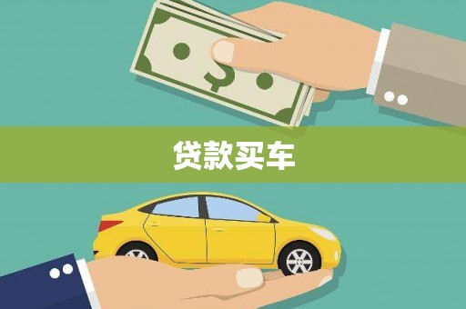 田林贷款买车