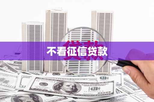 田林不看征信贷款