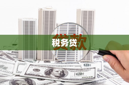 田林税务贷