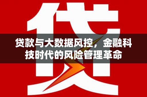 田林贷款与大数据风控，金融科技时代的风险管理革命